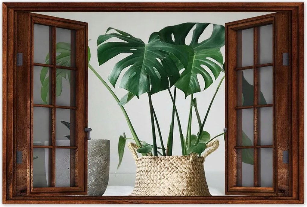 Poszterek 120x80 Mosnter levelek lyukas