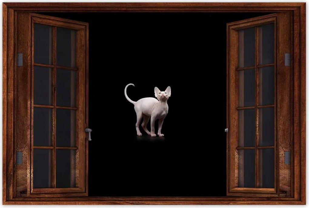 Poszterek 120x80 Kanadai macska Szfinx