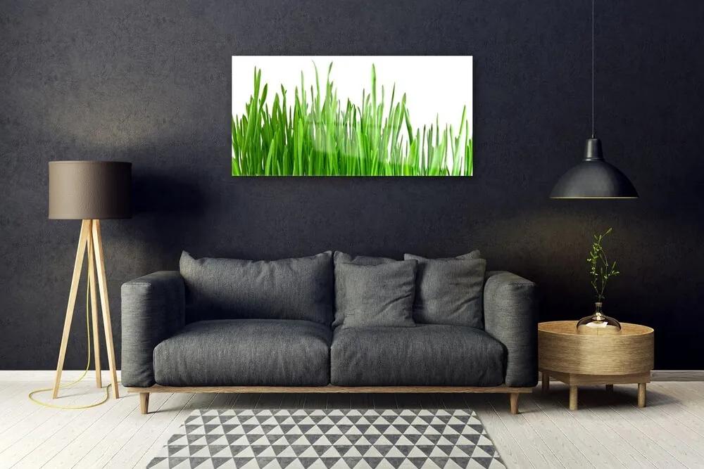 Üvegkép Grass Nature Plant 120x60cm