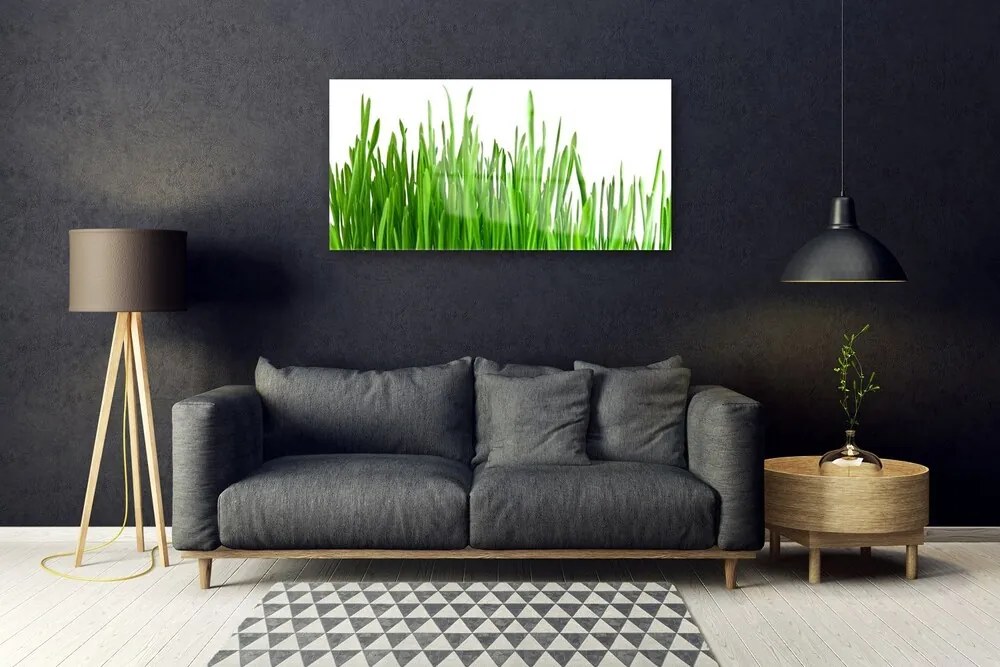 Üvegkép Grass Nature Plant 125x50 cm