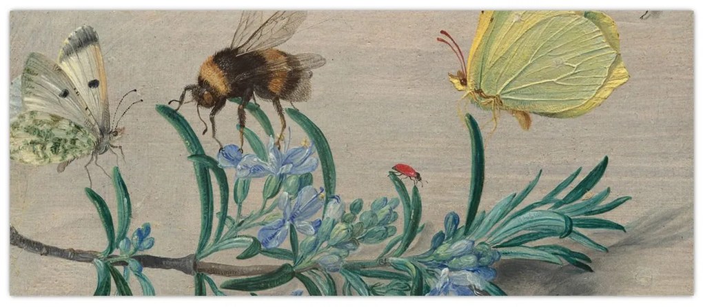 Kép - Jan van Kessel the Elder, Insects and a Sprig of Rosemary, reprodukciók (120x50 cm)