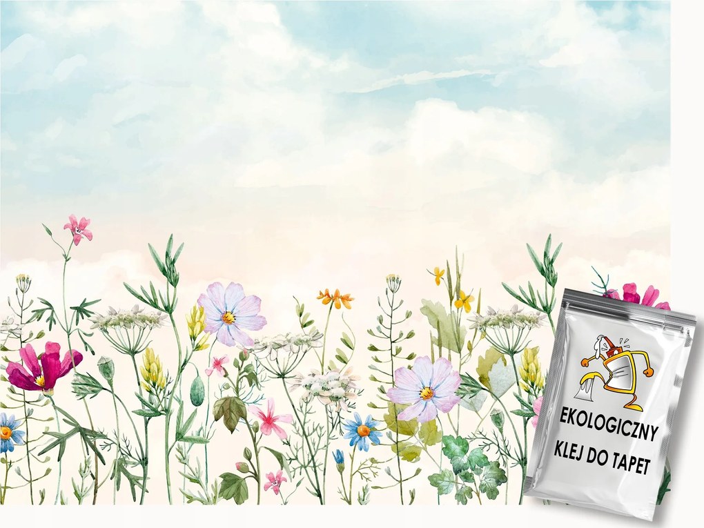 Fotótapéta Flizelina Természet Kert Rét Színes Virágok Tavasz 400x280 ragasztó