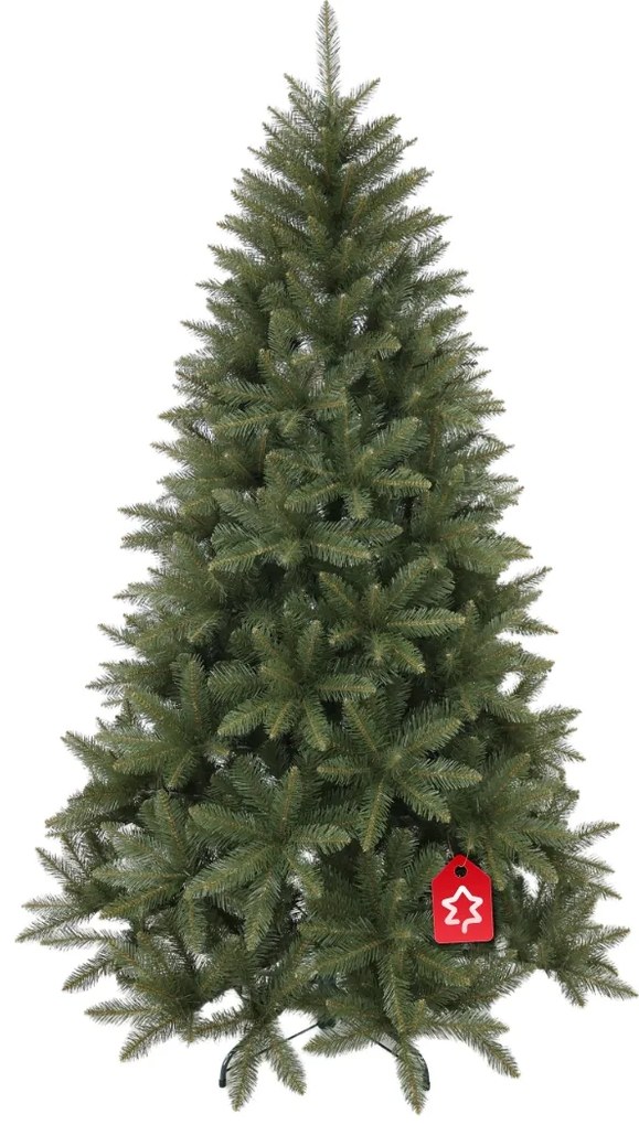 Kaukázusi lucfenyő 2D 150 cm