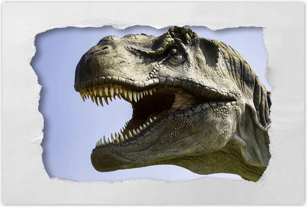 Poszterek 90x60 Tyrannosaurus portré