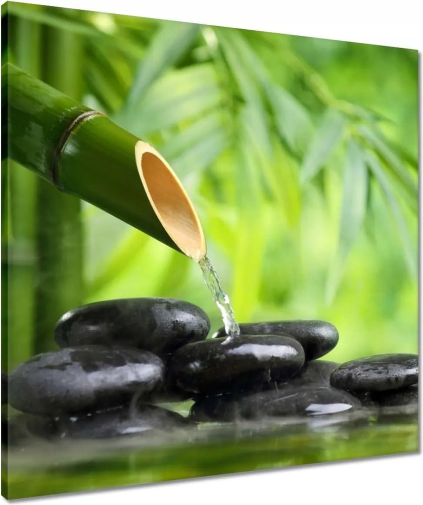 Vászonkép 60x60 Sanus per aquam Forrás