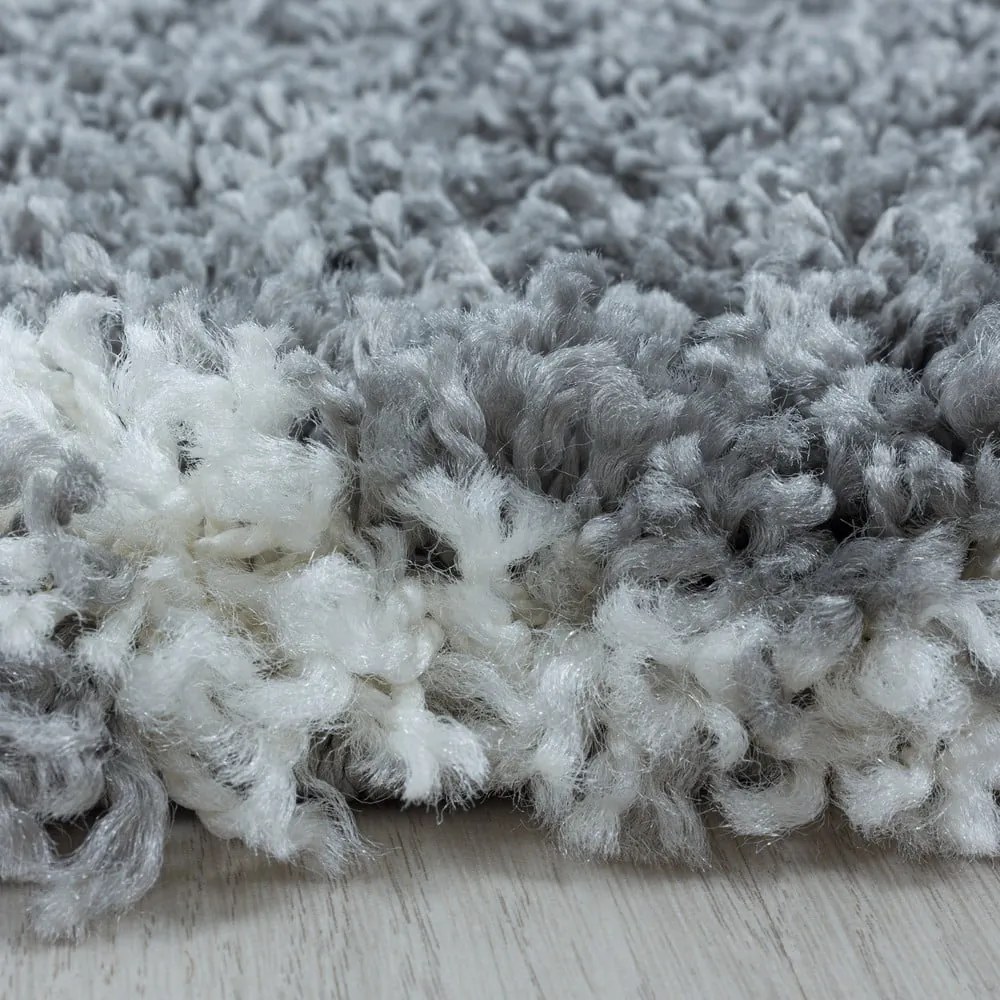 Szürke szőnyeg 160x230 cm Salsa – Ayyildiz Carpets