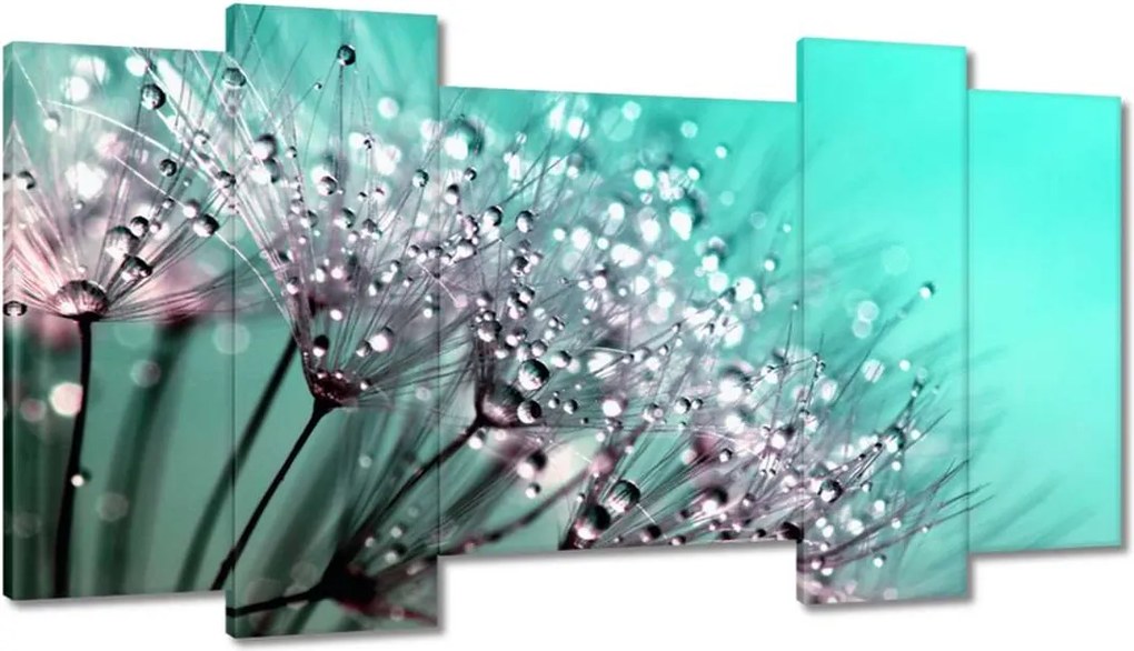 Képek 120x65 Harmatcseppek Pitypang