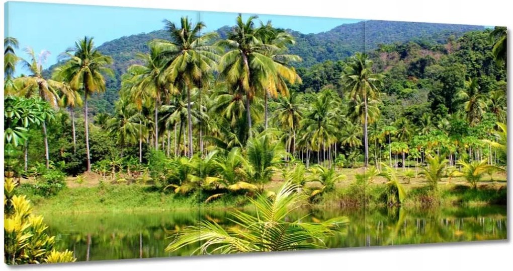 Vászonkép 120x60 Gyönyörű amazon