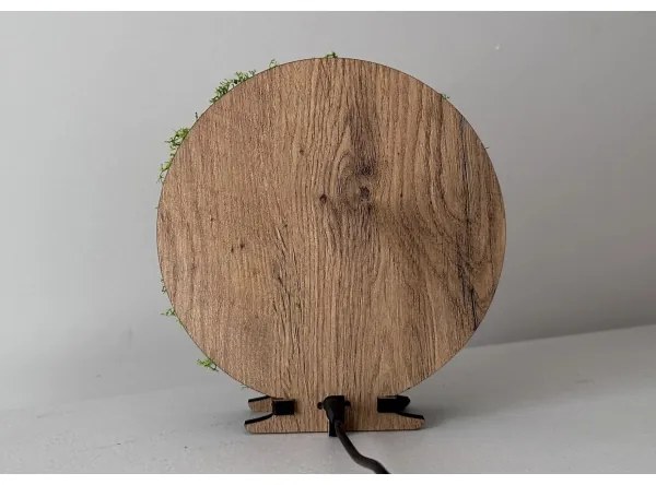 Li-Go 23622/DUB2 - LED fényerőszabályozható asztali dekoráció LED/12W/230V 20x22 cm tölgy