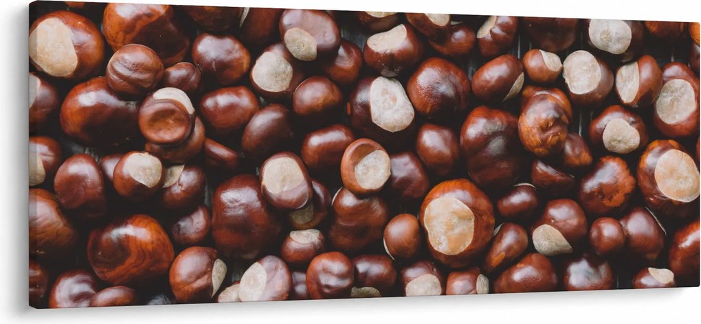 Kép - Érett gesztenye (120x50 cm)