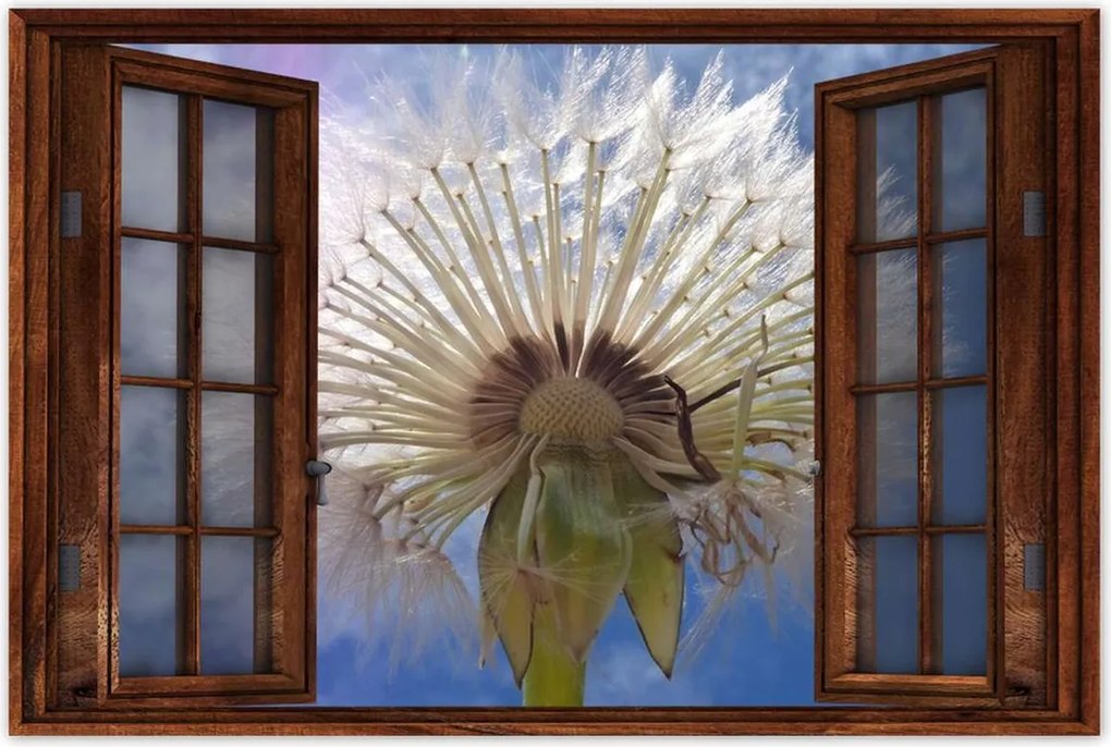 Poszterek 90x60 Pitypang Virág Virágok