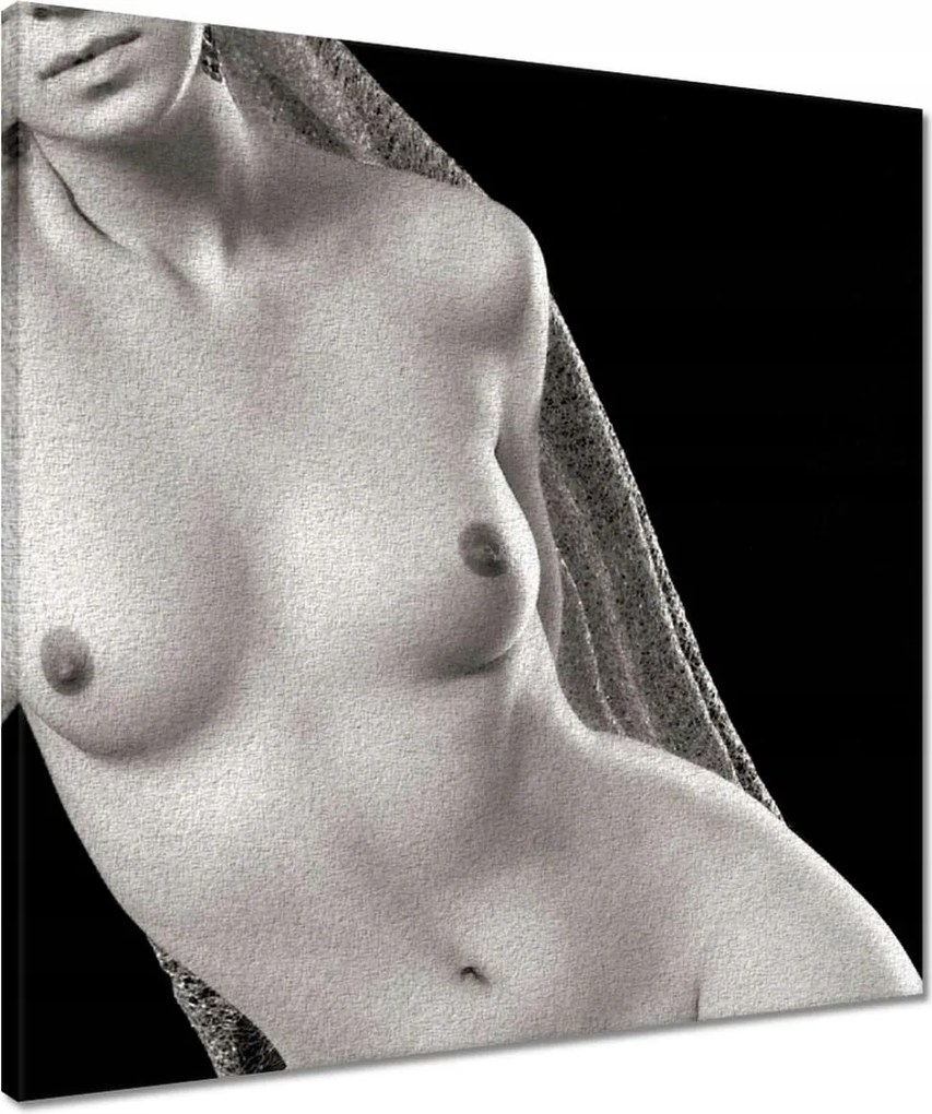 Vászonkép 50x50 Aktok Meztelenség Szerelem Fotó