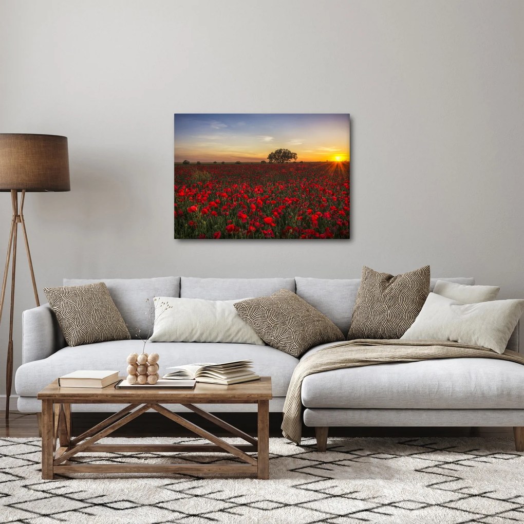 Pipacsos rét képe (70x50 cm)