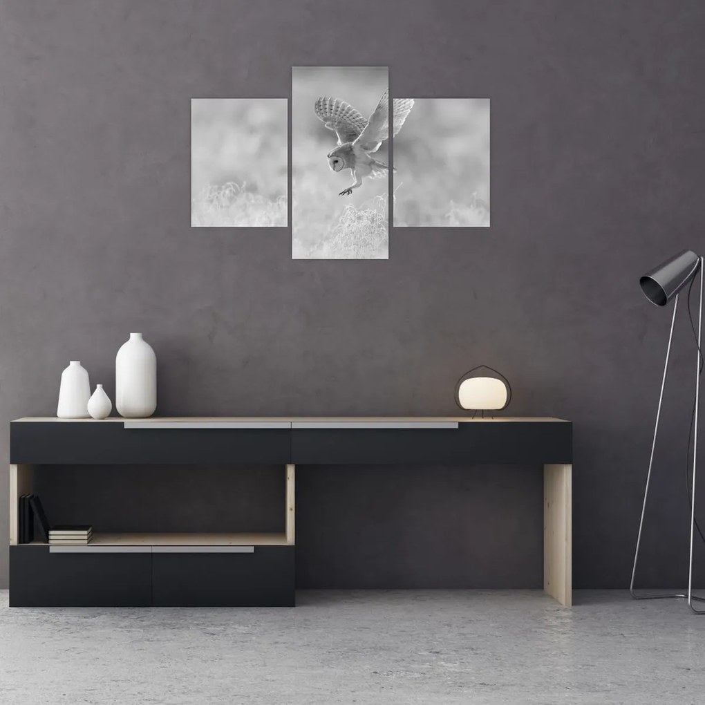 Kép - Bagoly, fekete-fehér (90x60 cm)