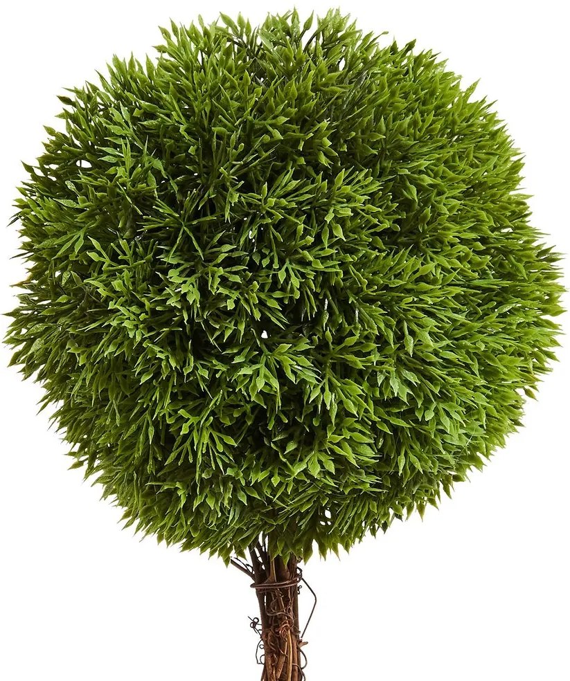 FLORISTA mini cserepes bukszus, 35 cm magas