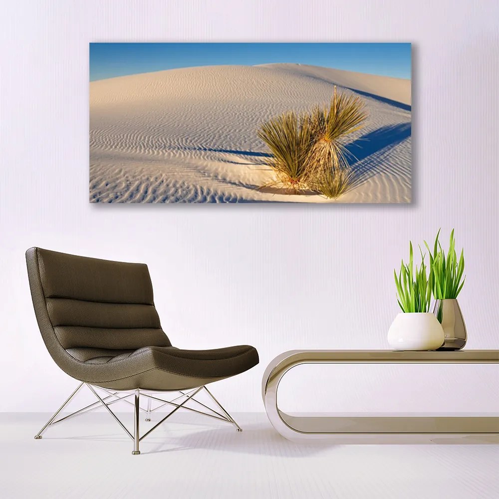 Üvegfotó Fekvő sivatagi homok 120x60cm