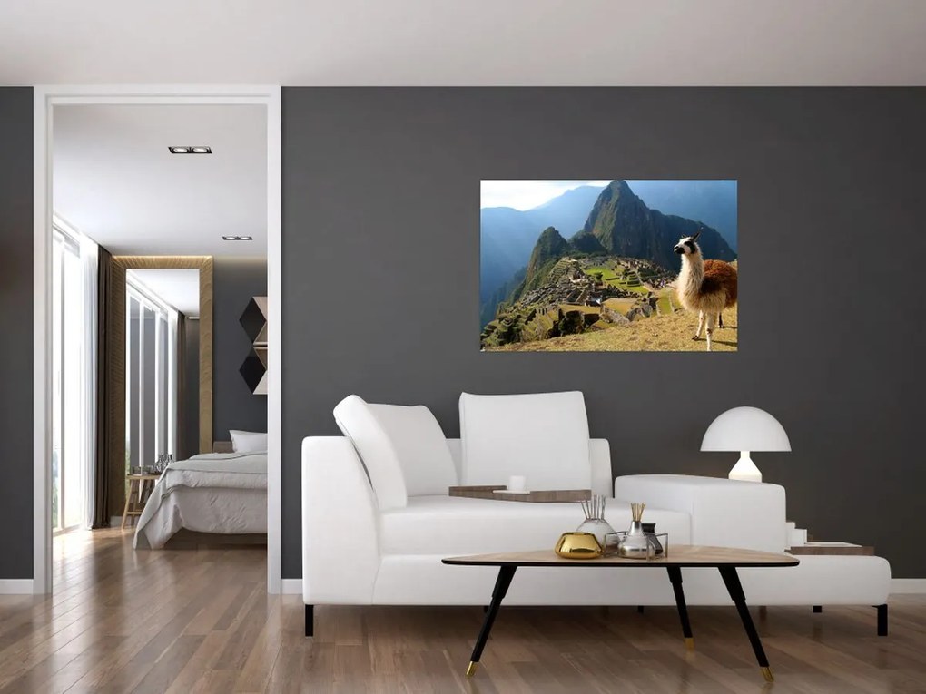 Kép - Láma és Machu Picchu (90x60 cm)