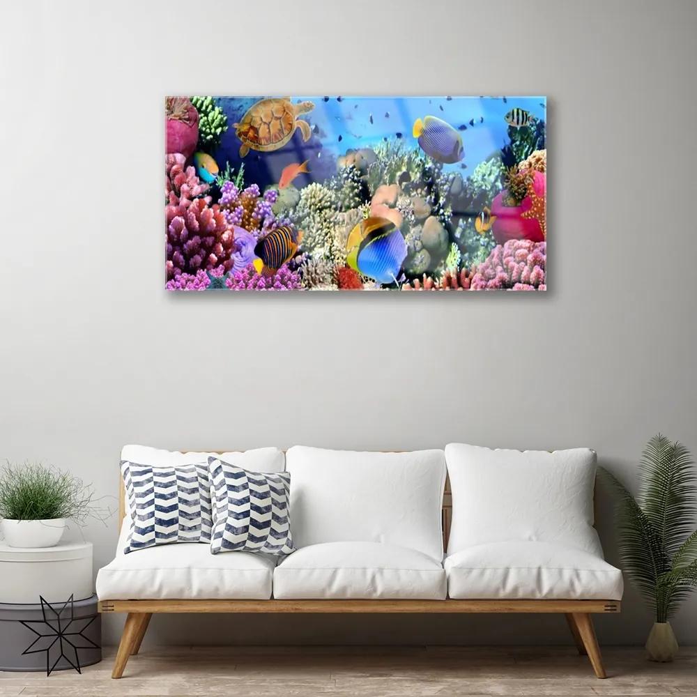 Akrilkép Barrier Reef Nature 125x50 cm