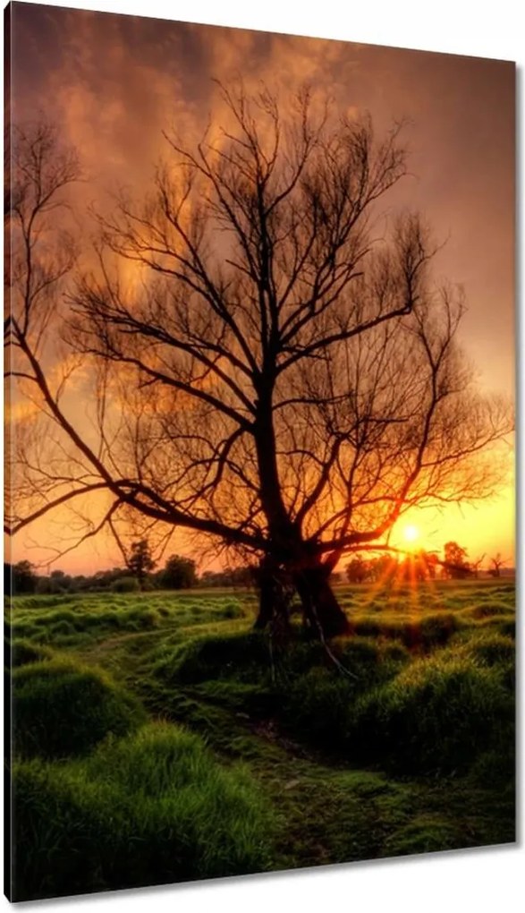 Vászonkép 80x120 Egy este a croissant-ban