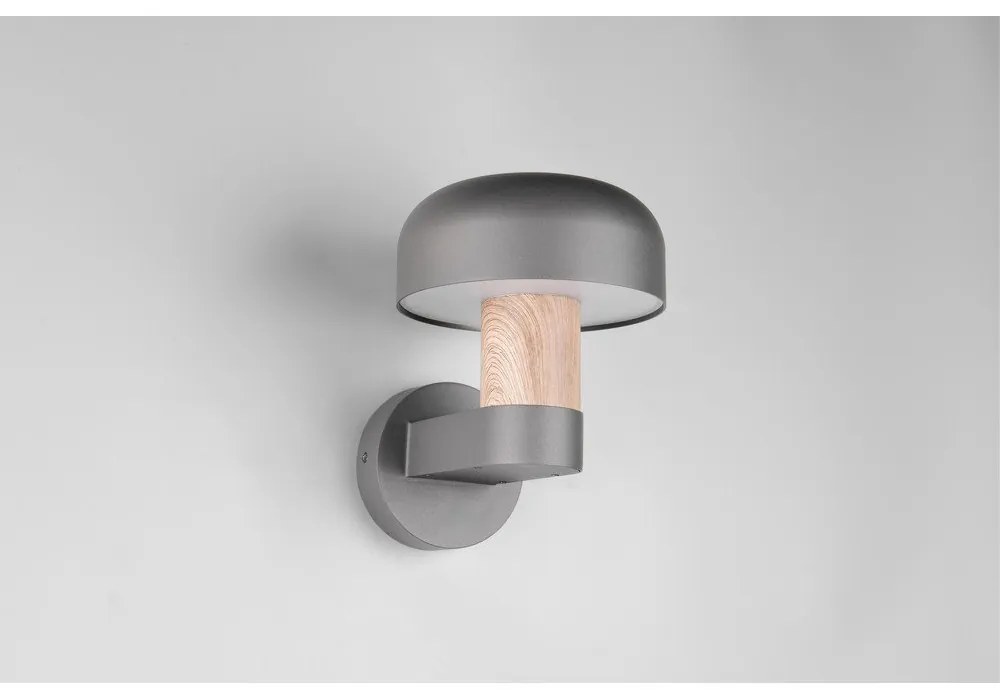 Fali kültéri lámpa (magasság 24,5 cm) Fraser – Trio