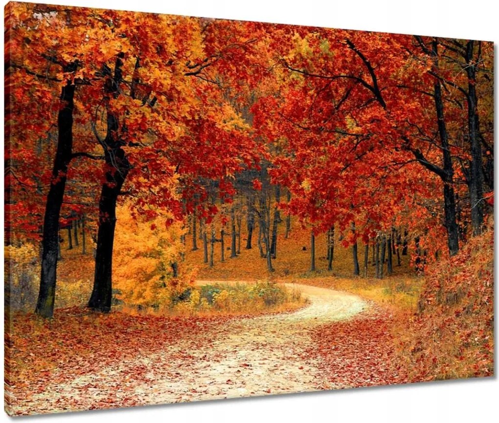 Vászonkép 80x60 Tájkép