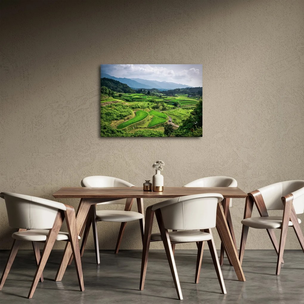 Rizsmező képe (70x50 cm)