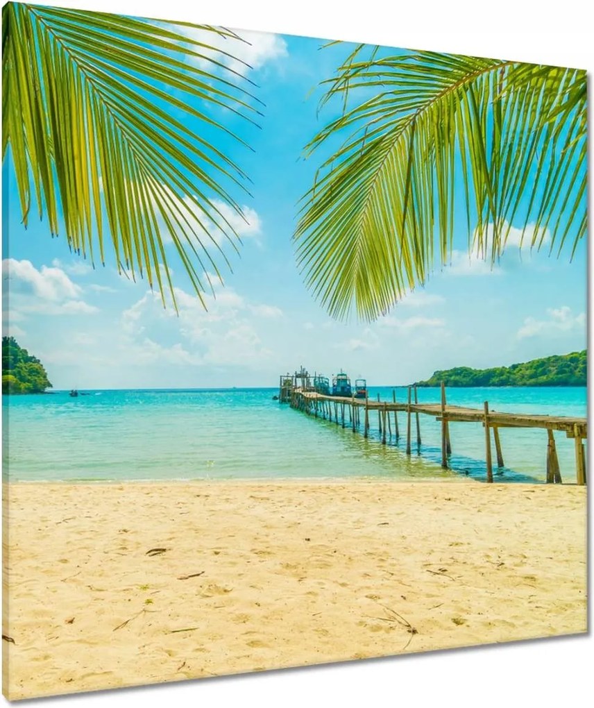 Vászonkép 80x80 Trópusi tájkép