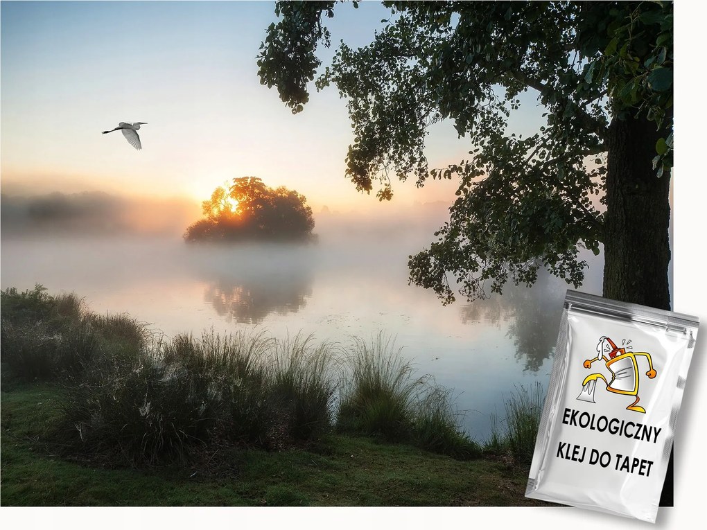 Fotótapéta Flizelina Tájkép Reggel Kilátás Köd Tó Madár 300x210 ragasztó