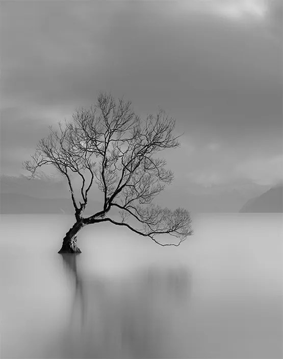 Fotótapéta 200x254 tapéta flizelin Fa #F113