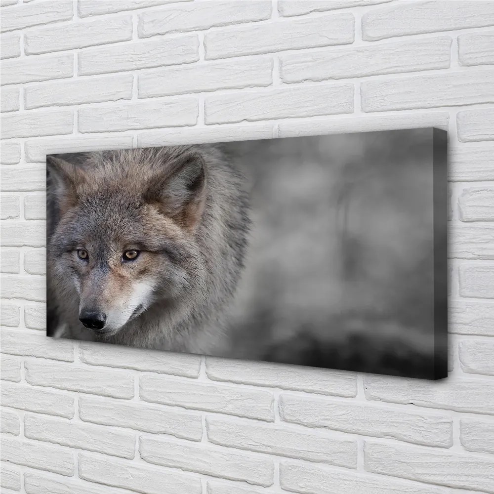 Canvas képek Farkas 125x50 cm