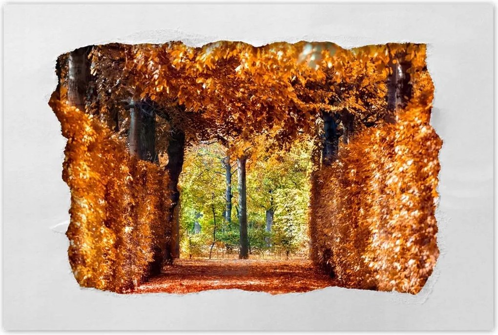 Poszterek 60x40 Tájkép Látvány