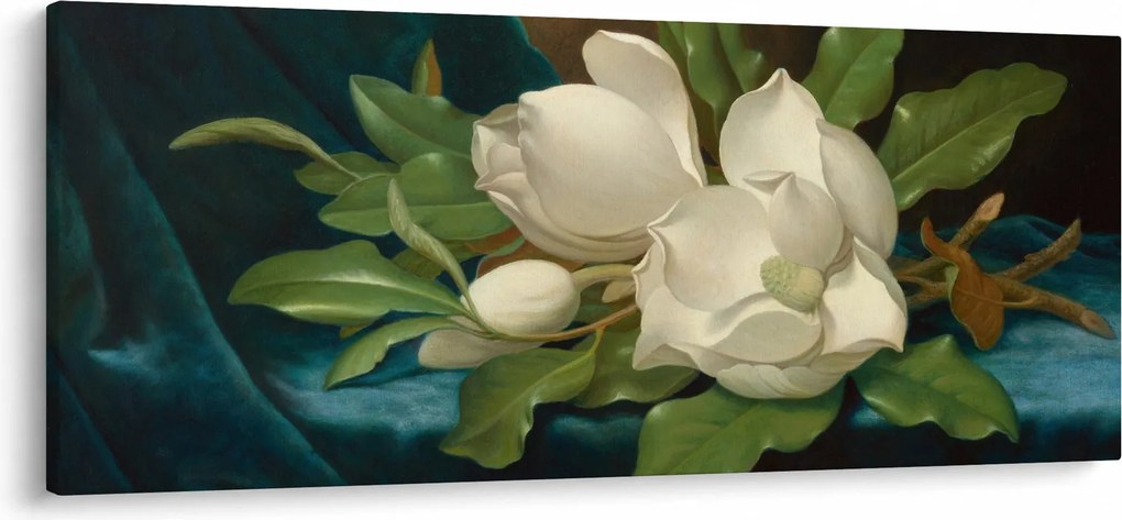 Kép - Martin Johnson Heade, Giant Magnolias on a Blue Velvet Cloth, reprodukciók (120x50 cm)