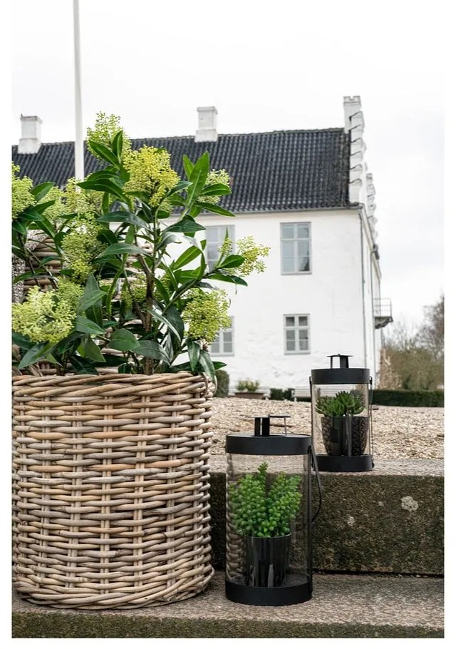 Műnövény Skimmia – House Nordic