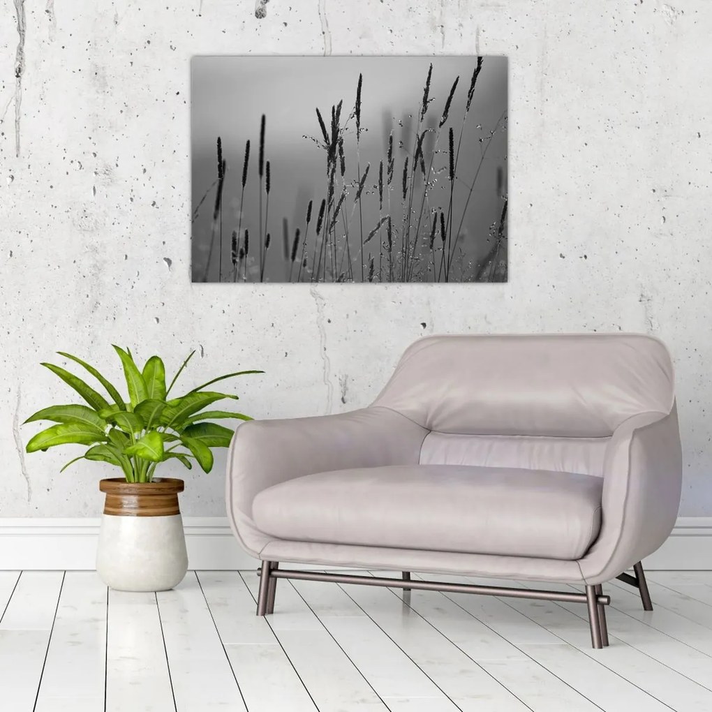 Kép - Fűszálak (70x50 cm)