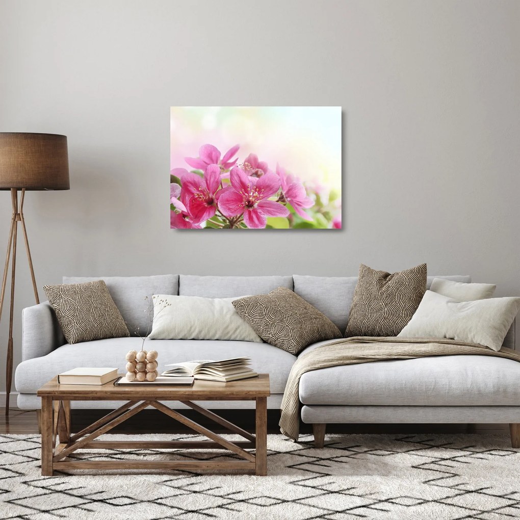 Kép - Rózsaszín virágok (üvegen) (70x50 cm)