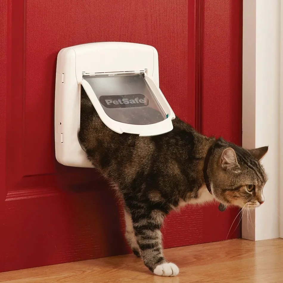 PetSafe® Staywell mágneses kulcs nyakörvvel