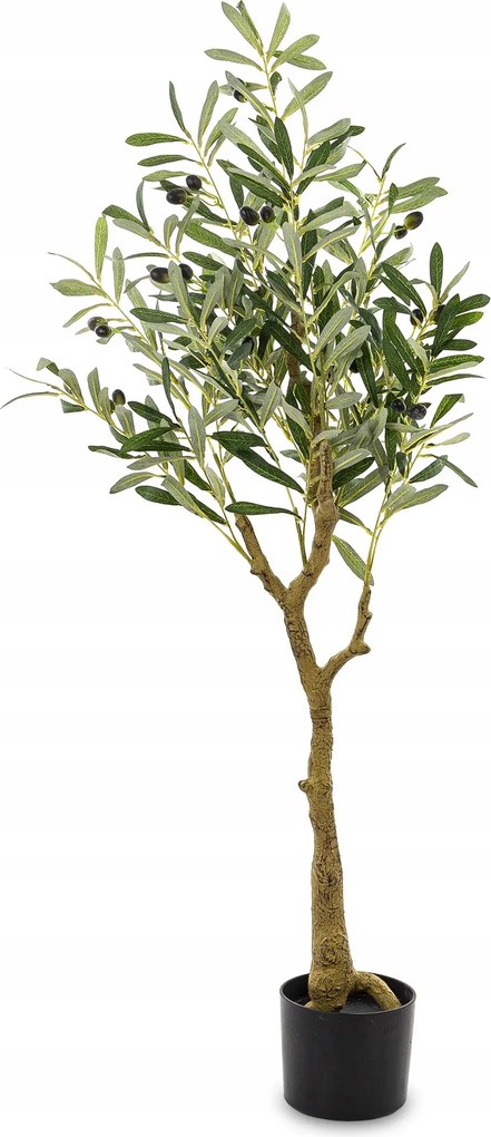 Dekoratív növény olajfa cserépben mesterséges dekoráció