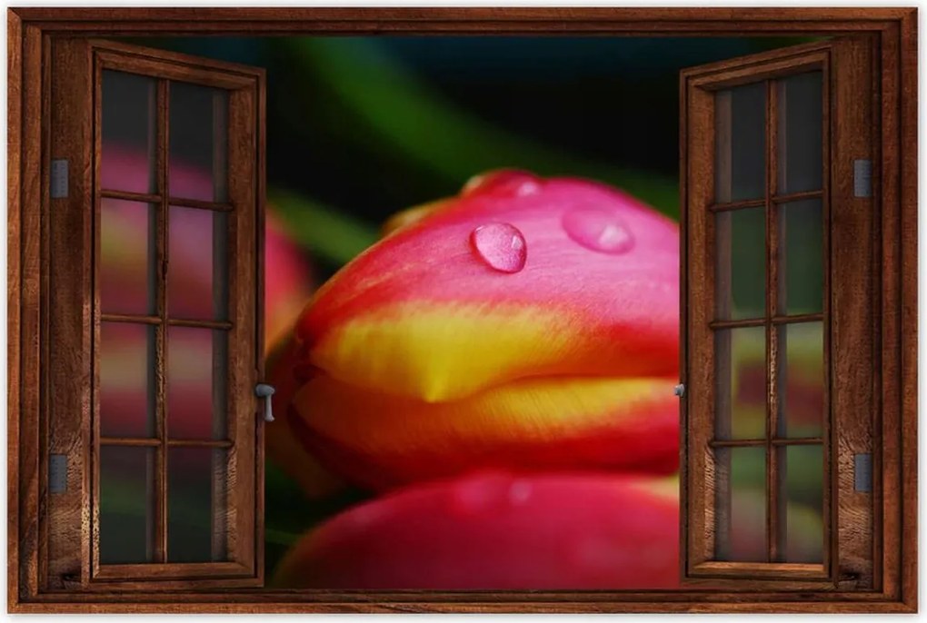 Poszterek 90x60 Tulipánok makró fotó