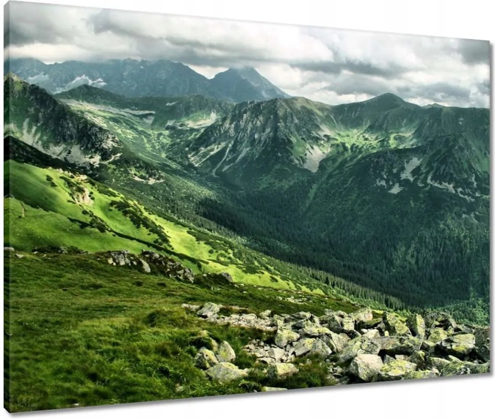 Vászonkép 80x60 Tátra Lengyel hegyek Kilátás