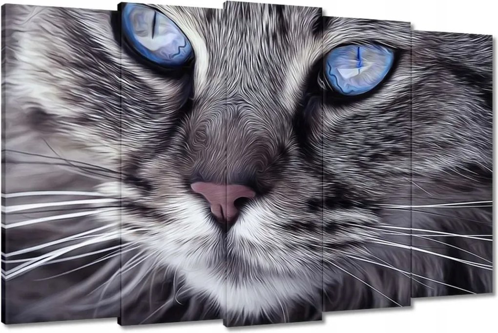 Vászonkép 150x95 Kék szemű cica