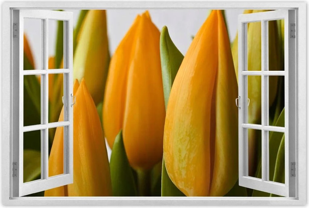 Poszterek 120x80 Sárga tulipánok