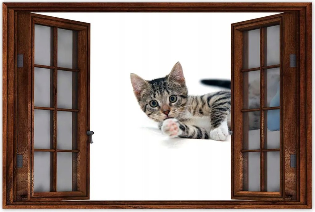 Poszterek 120x80 Cica Cicák