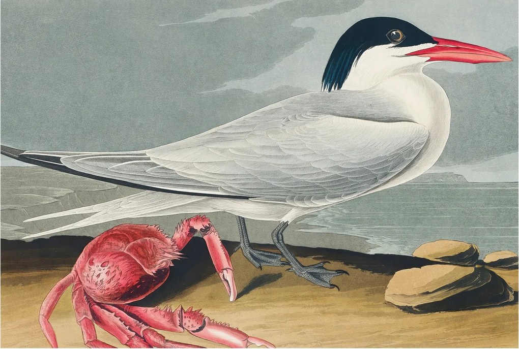 Dekoratív Fotótapéta Hálószobába Tengeri táj 104x70