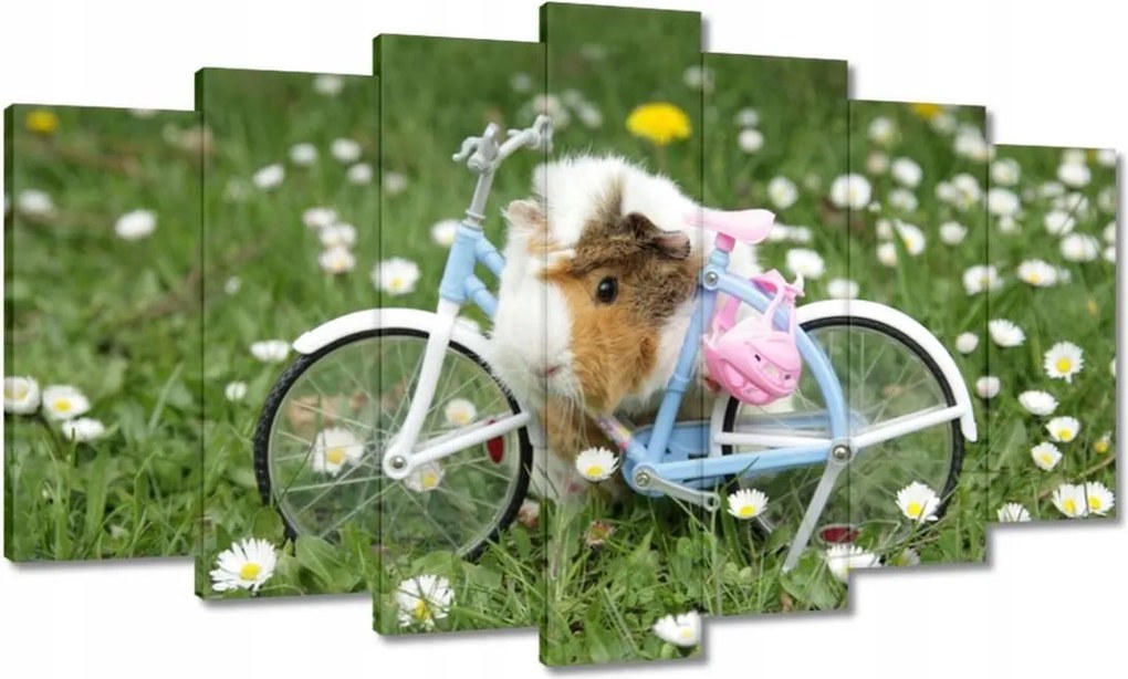 Vászonkép 140x80 Tengerimalac a réten