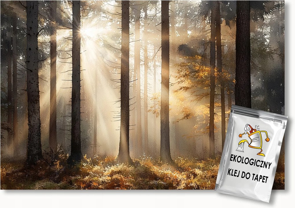 Fotótapéta Flizelina Tájkép Erdő Fák Fenyők Nap Ősz 416x290 ragasztó