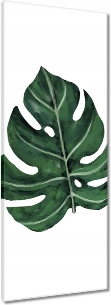 Vászonkép 40x100 Monstera Zöld levél