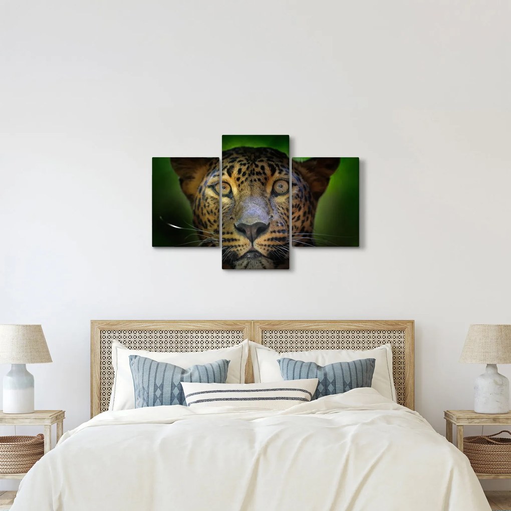 Kép - Leopárd portré, Sri Lanka (90x60 cm)