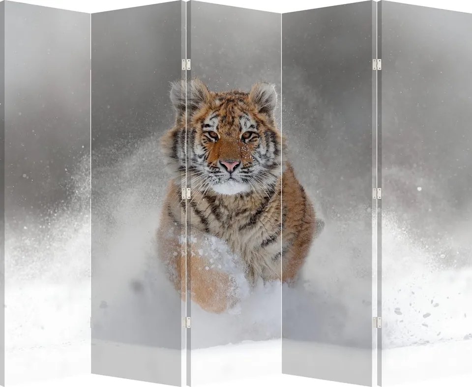 Paraván - Futó tigris a hóban (210x170 cm)