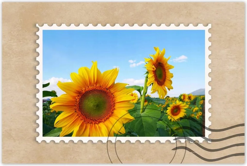 Poszterek 60x40 Napraforgók Égbolt