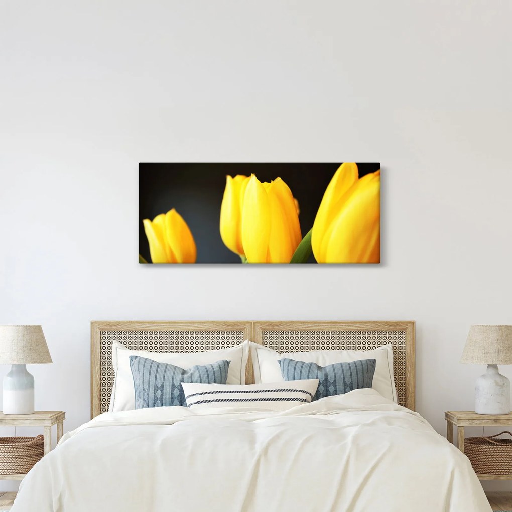 Tulipán képe (120x50 cm)